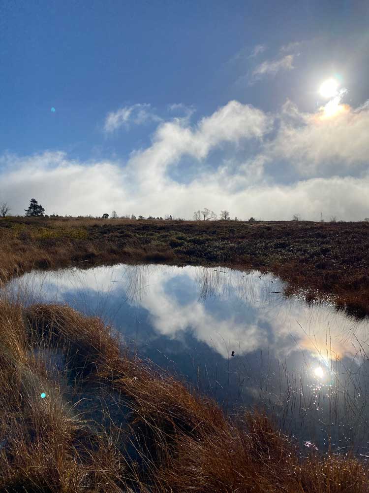 Fagnes de Malchamps