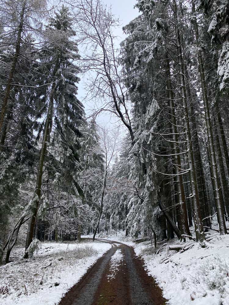 Les Biolles in sneeuw