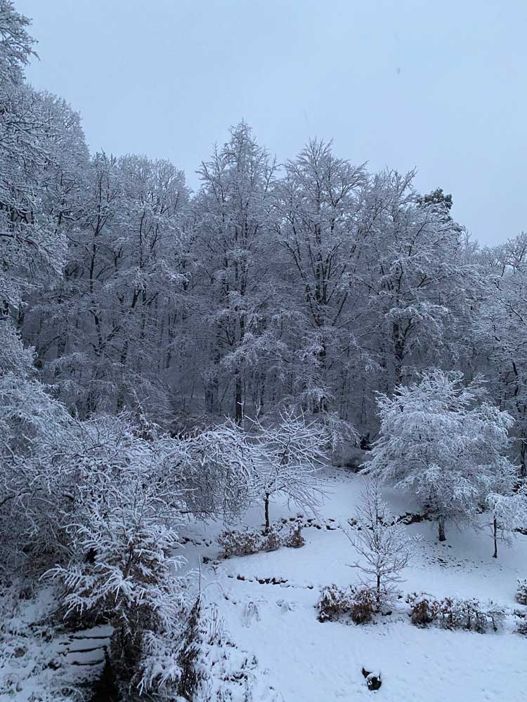 Tuin in sneeuw